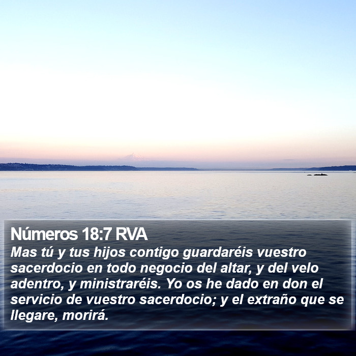 Números 18:7 RVA Bible Study