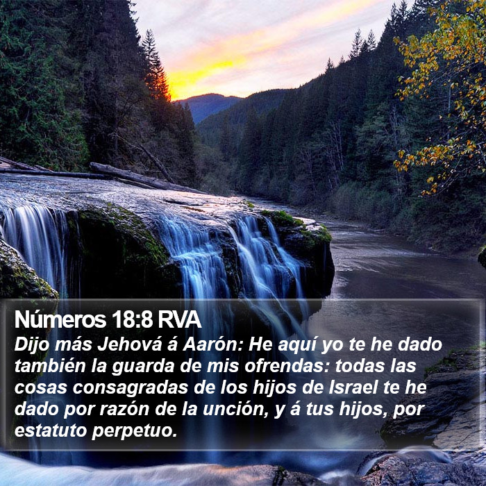 Números 18:8 RVA Bible Study