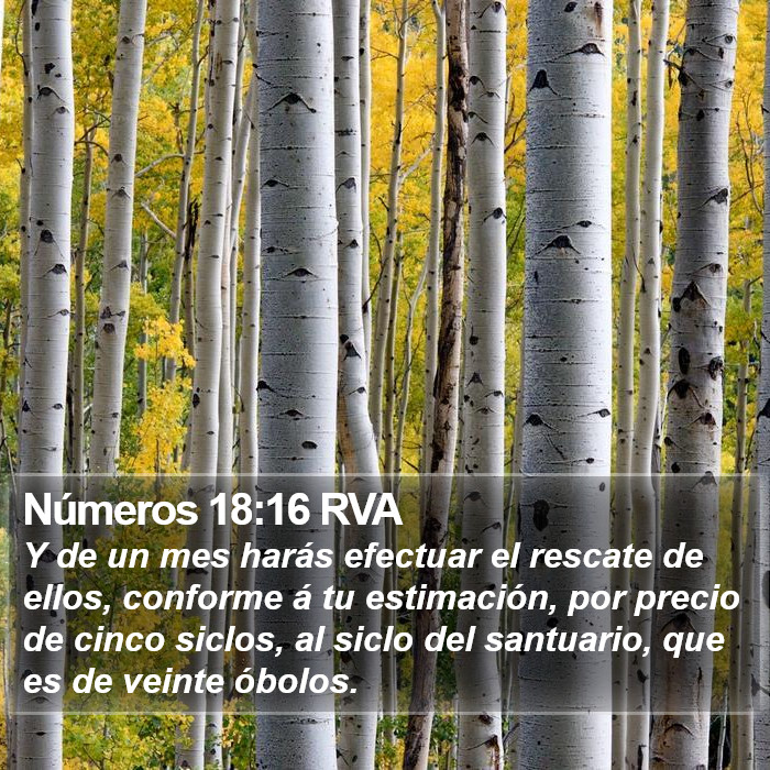 Números 18:16 RVA Bible Study