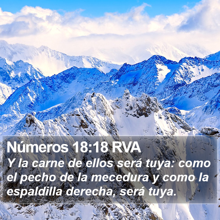 Números 18:18 RVA Bible Study