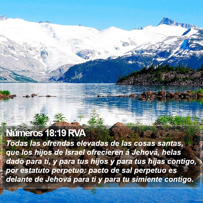 Números 18:19 RVA Bible Study