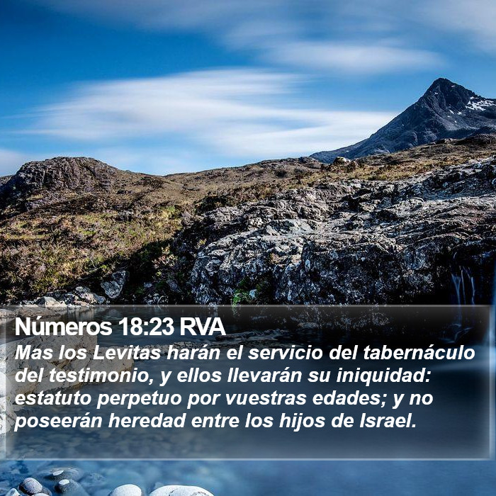 Números 18:23 RVA Bible Study