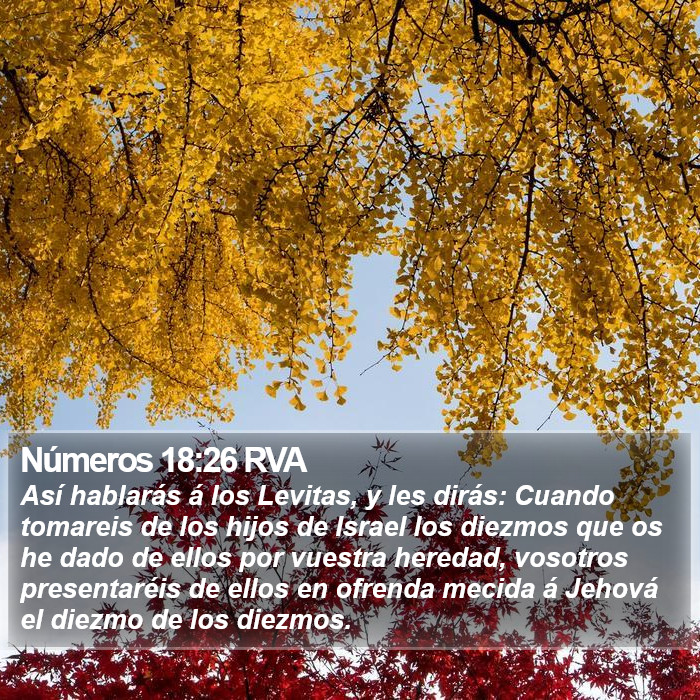 Números 18:26 RVA Bible Study