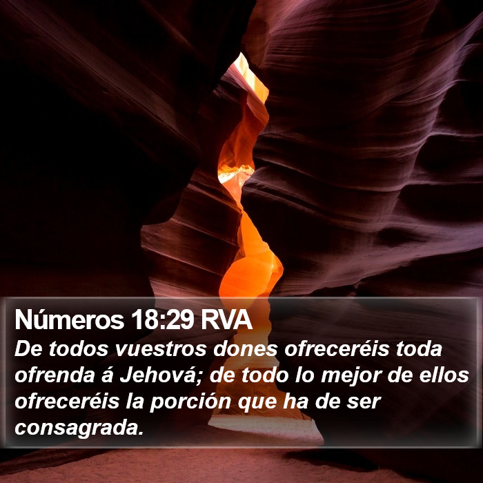 Números 18:29 RVA Bible Study