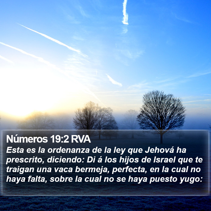 Números 19:2 RVA Bible Study