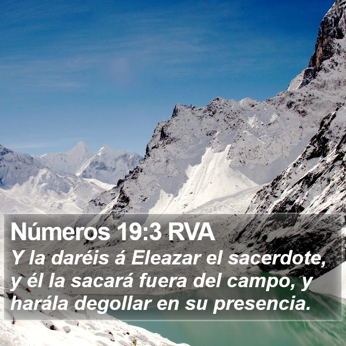 Números 19:3 RVA Bible Study