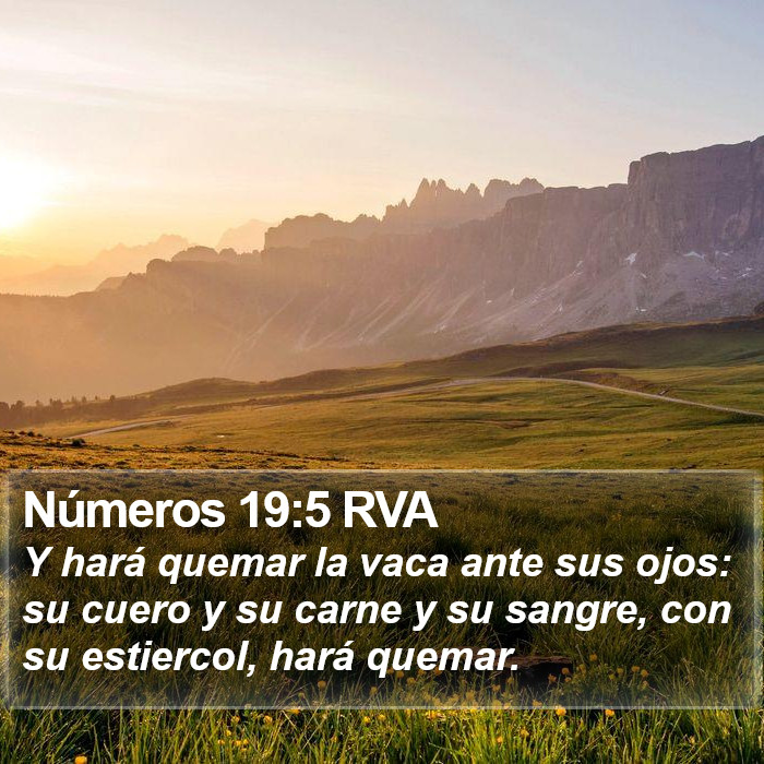 Números 19:5 RVA Bible Study
