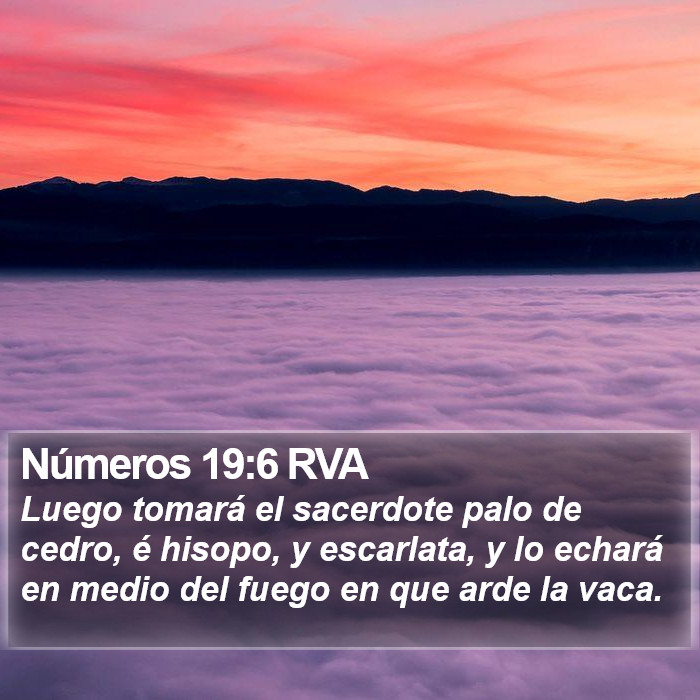 Números 19:6 RVA Bible Study