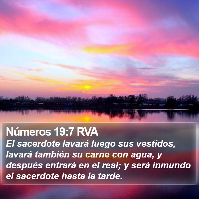 Números 19:7 RVA Bible Study
