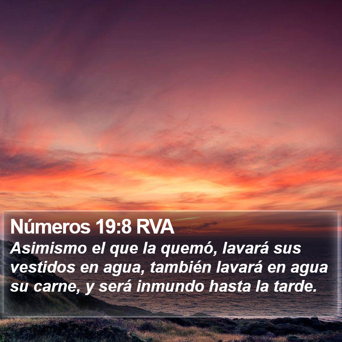Números 19:8 RVA Bible Study