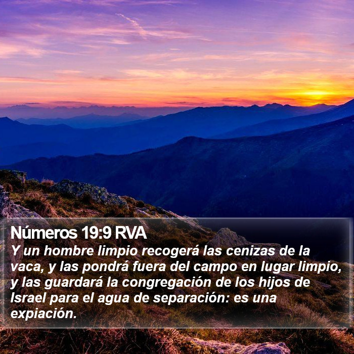 Números 19:9 RVA Bible Study