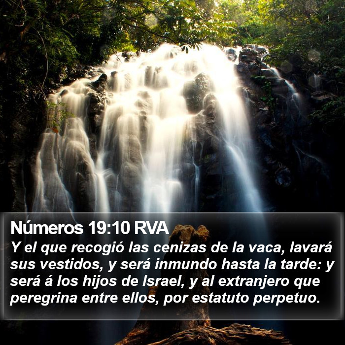 Números 19:10 RVA Bible Study