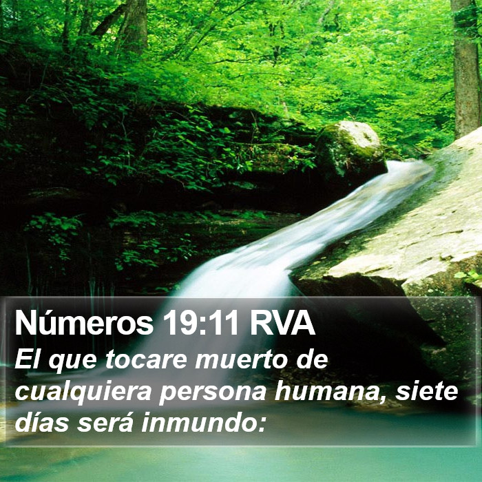 Números 19:11 RVA Bible Study