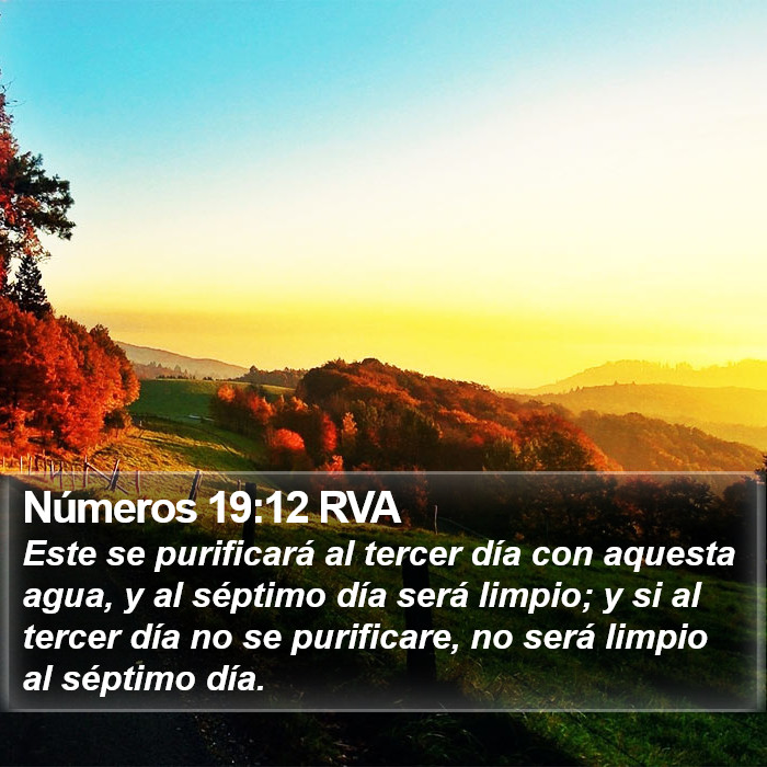 Números 19:12 RVA Bible Study