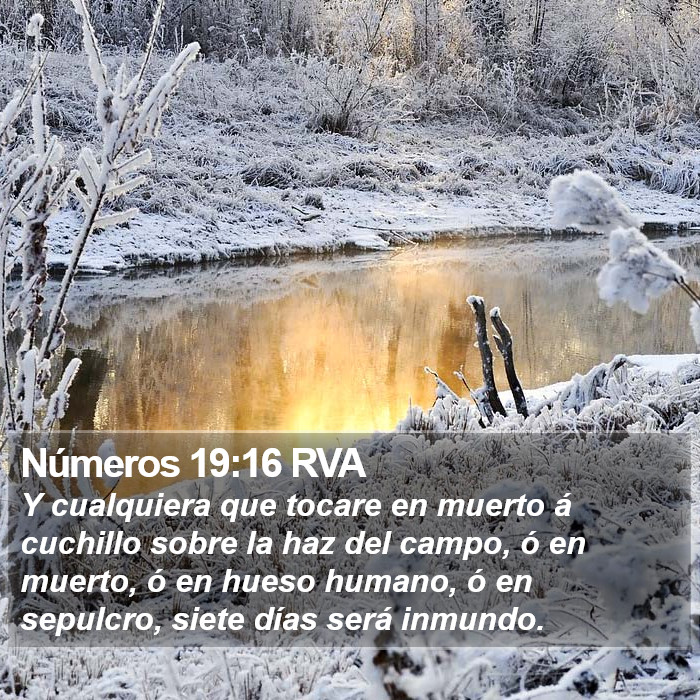 Números 19:16 RVA Bible Study