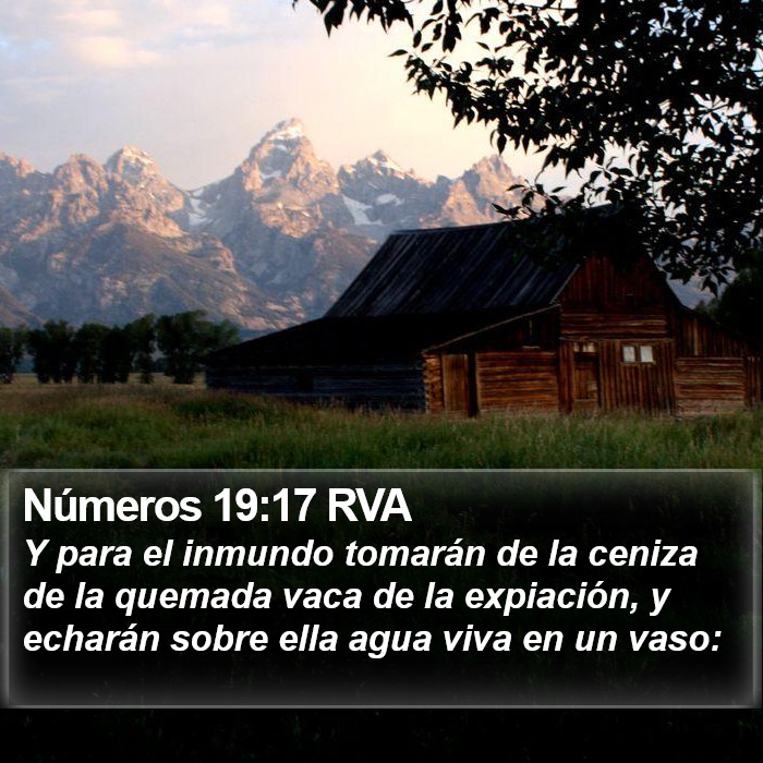 Números 19:17 RVA Bible Study