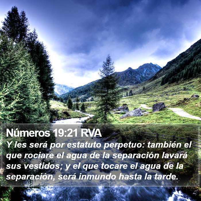Números 19:21 RVA Bible Study