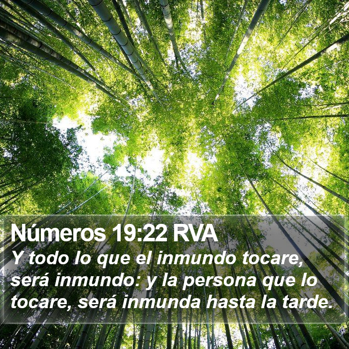 Números 19:22 RVA Bible Study