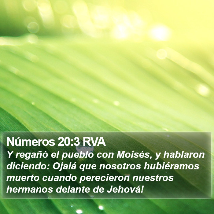 Números 20:3 RVA Bible Study