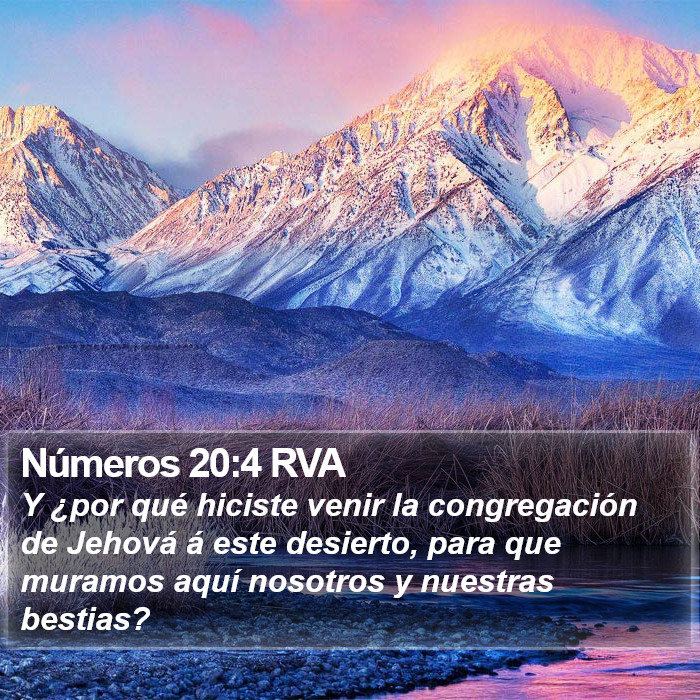 Números 20:4 RVA Bible Study