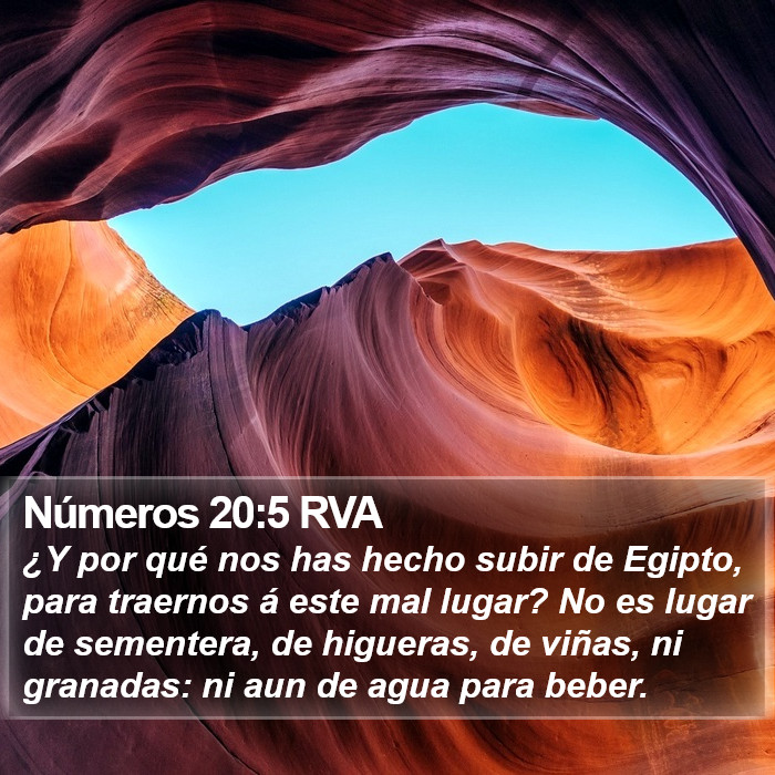 Números 20:5 RVA Bible Study