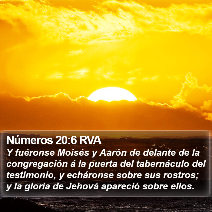 Números 20:6 RVA Bible Study