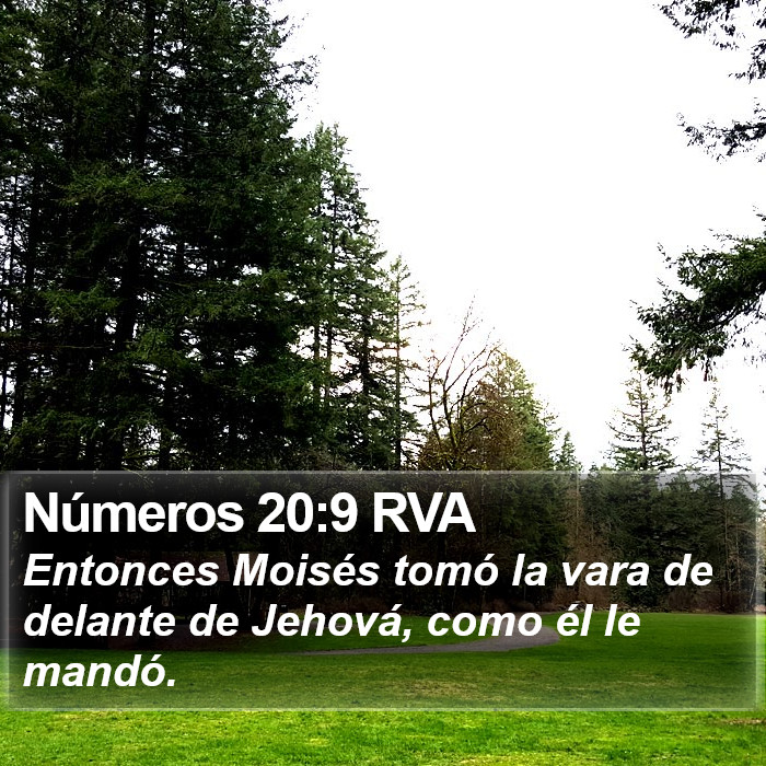 Números 20:9 RVA Bible Study