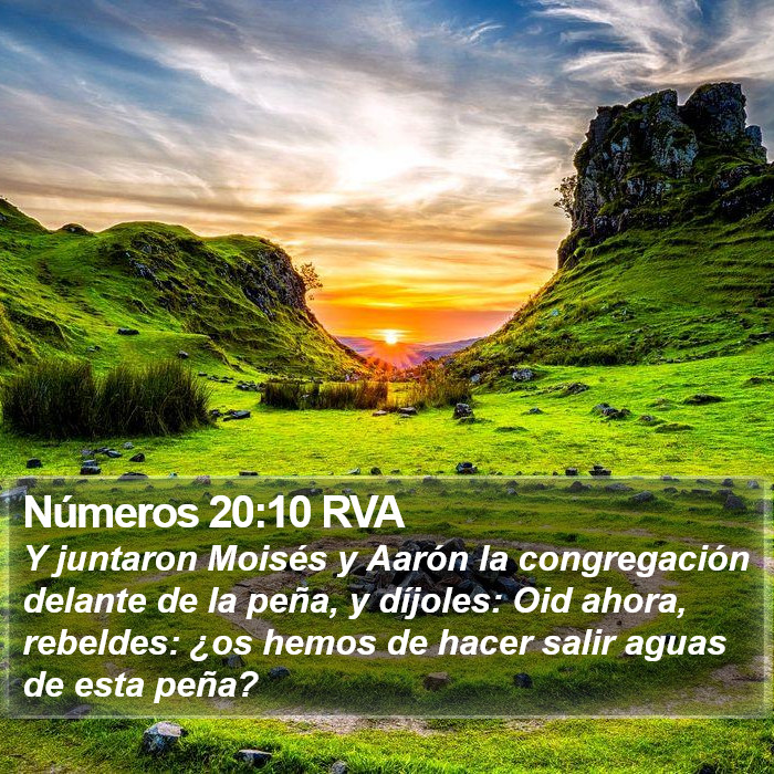 Números 20:10 RVA Bible Study
