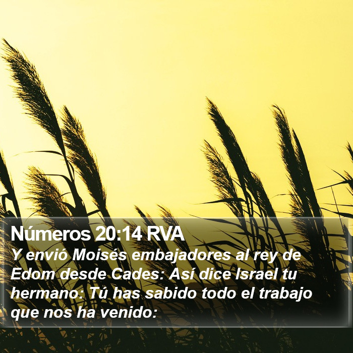 Números 20:14 RVA Bible Study