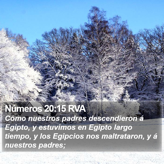 Números 20:15 RVA Bible Study