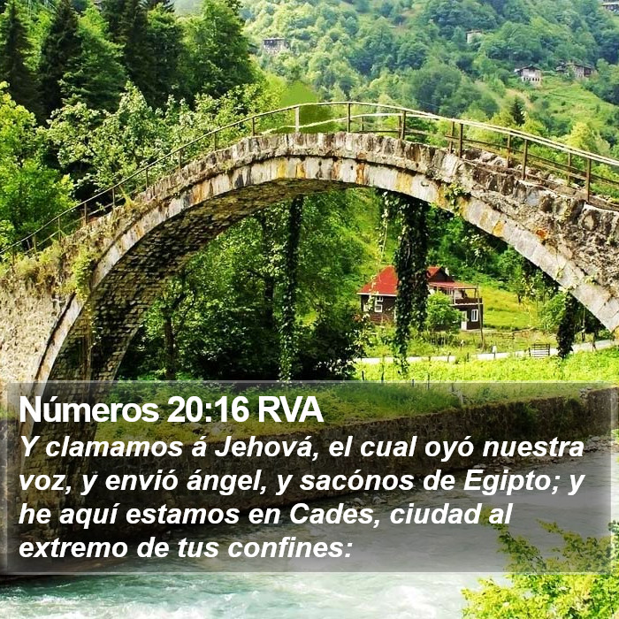 Números 20:16 RVA Bible Study