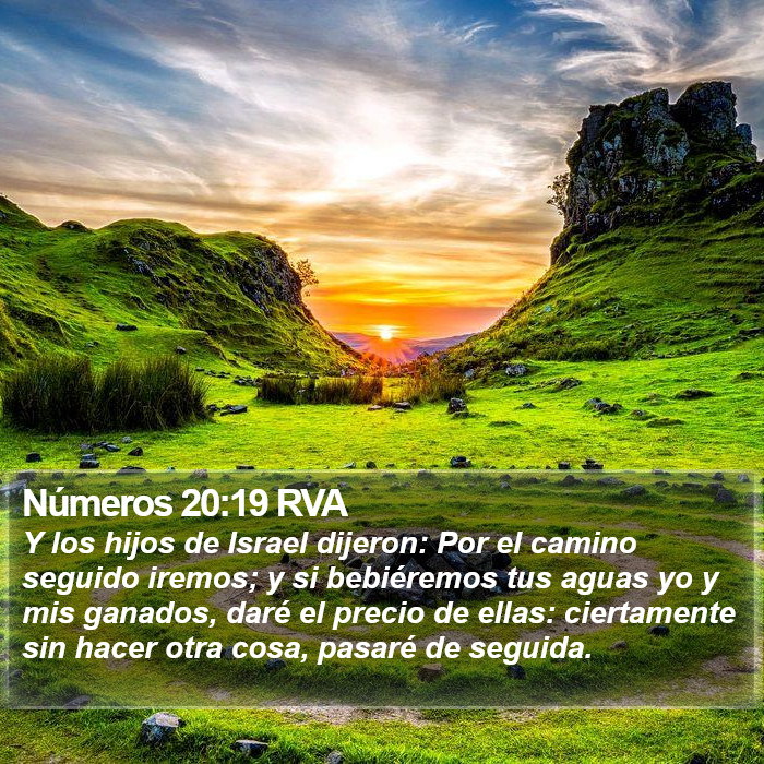 Números 20:19 RVA Bible Study