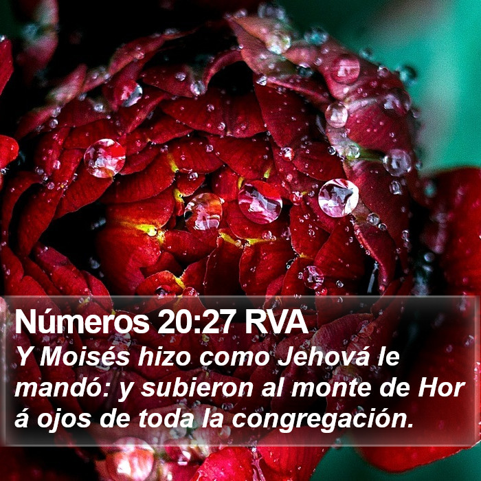 Números 20:27 RVA Bible Study