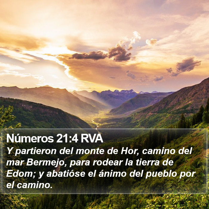 Números 21:4 RVA Bible Study