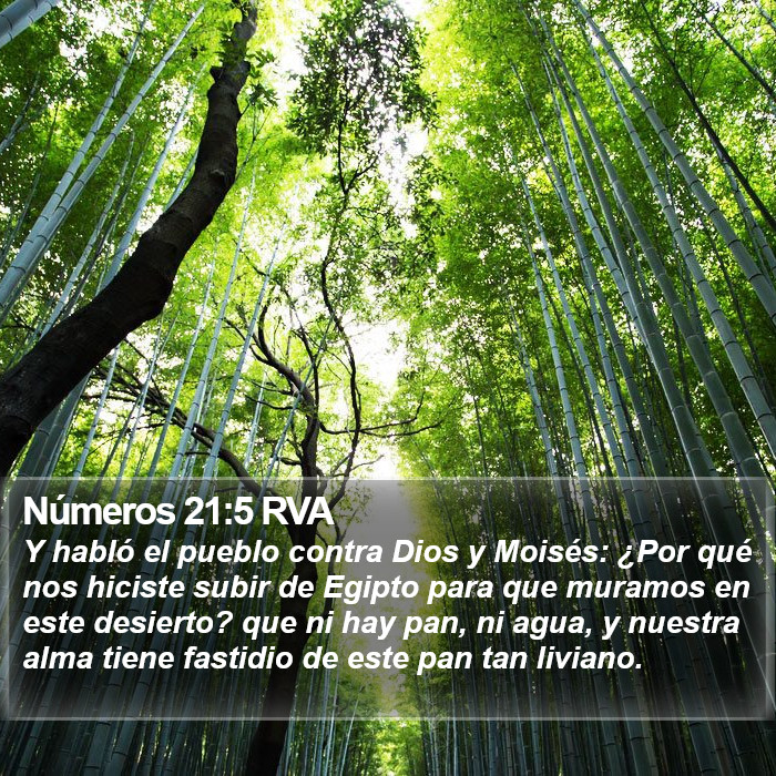 Números 21:5 RVA Bible Study