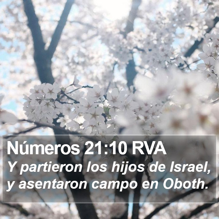 Números 21:10 RVA Bible Study