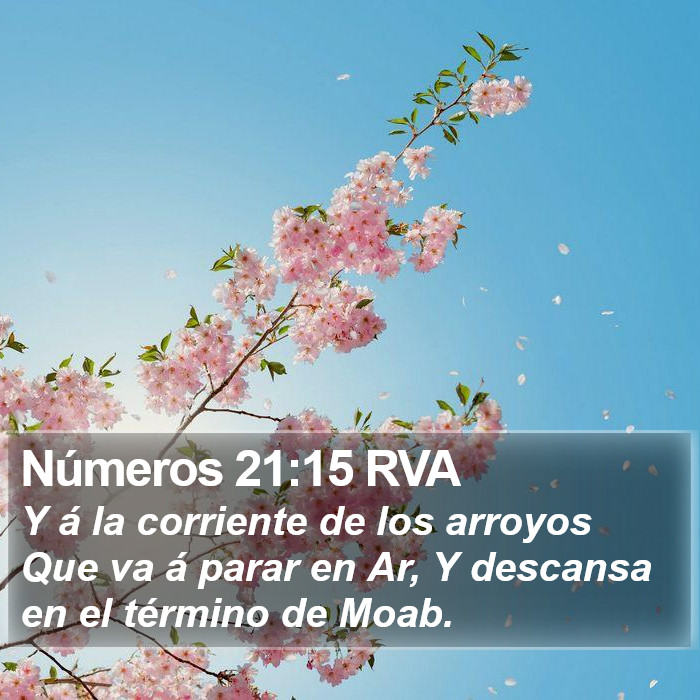 Números 21:15 RVA Bible Study