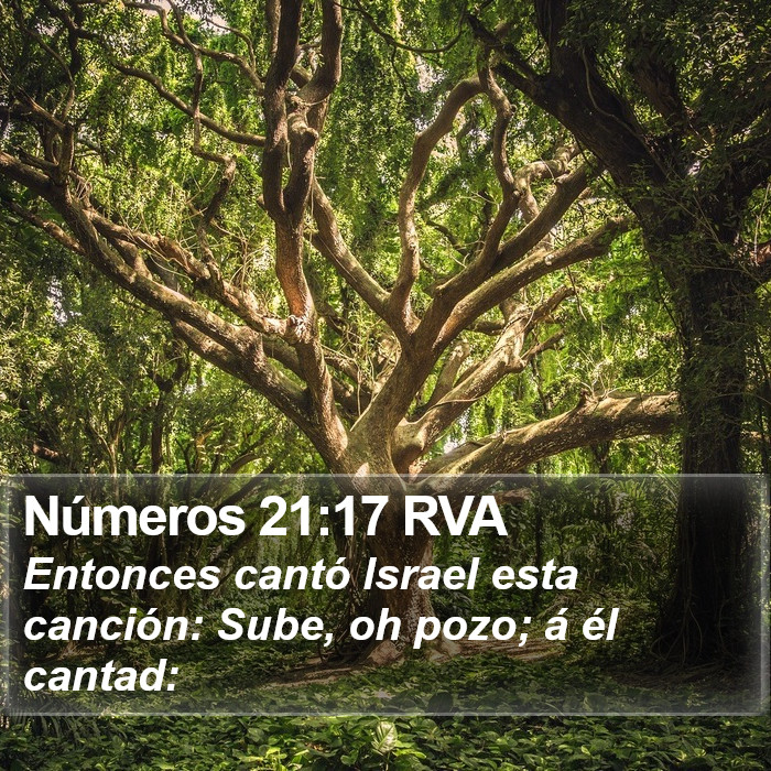 Números 21:17 RVA Bible Study