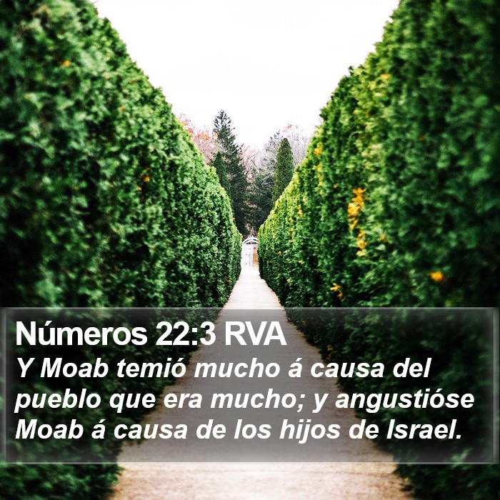 Números 22:3 RVA Bible Study