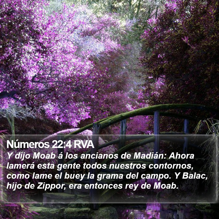 Números 22:4 RVA Bible Study