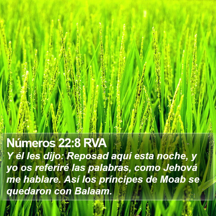 Números 22:8 RVA Bible Study