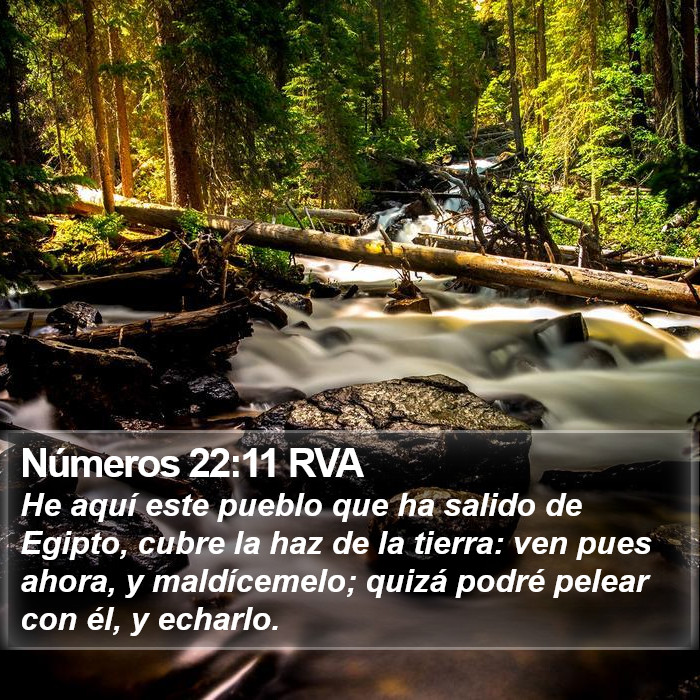 Números 22:11 RVA Bible Study