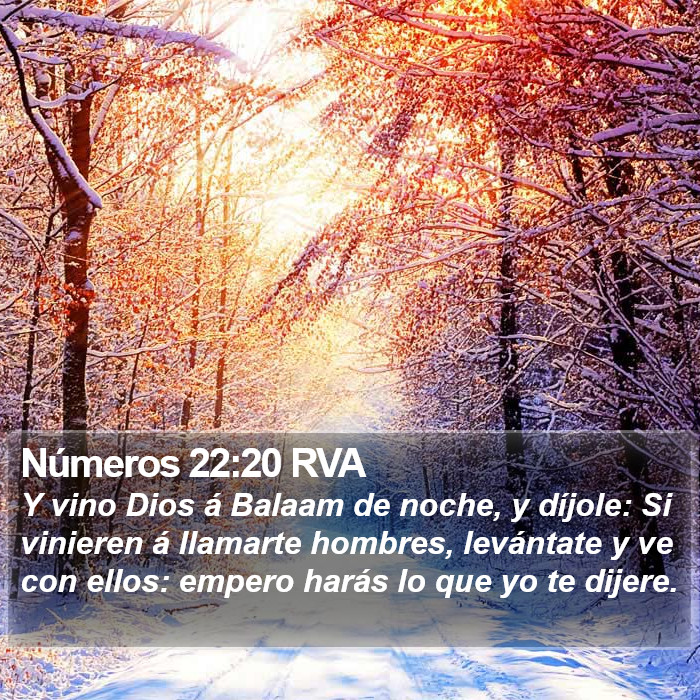 Números 22:20 RVA Bible Study