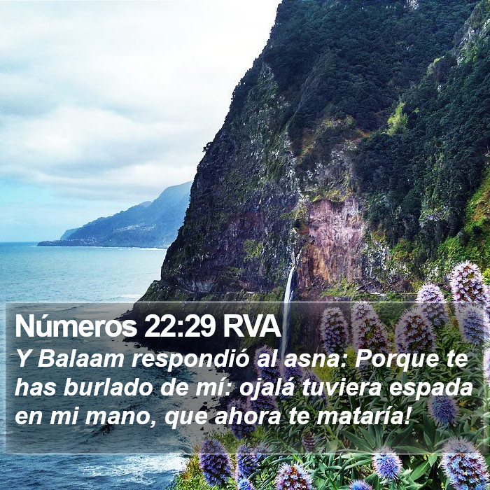 Números 22:29 RVA Bible Study