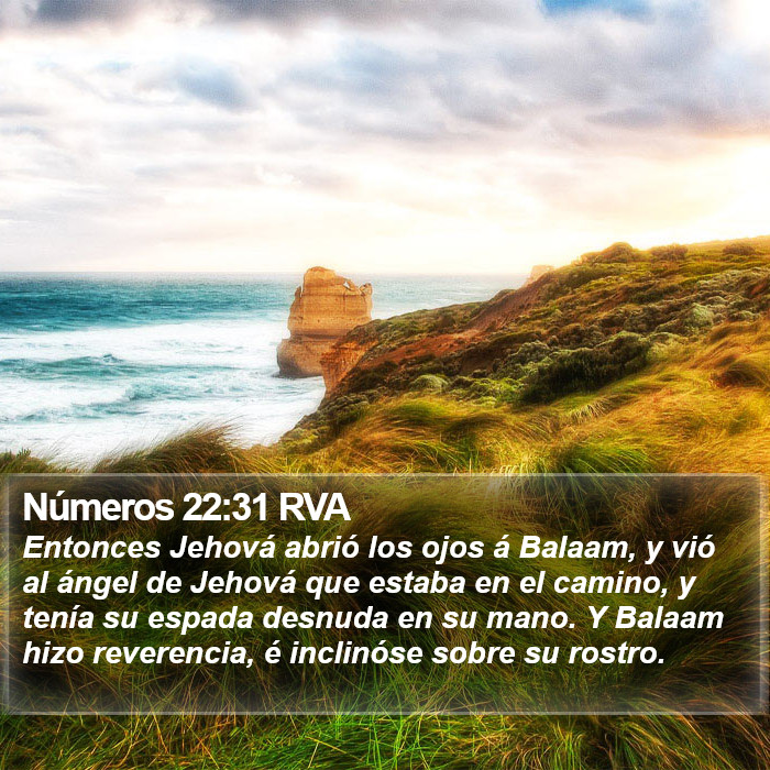 Números 22:31 RVA Bible Study