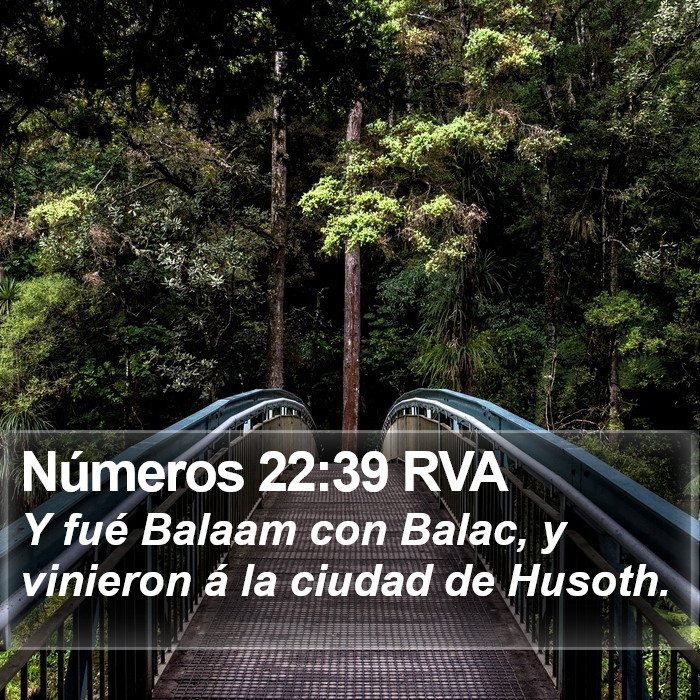 Números 22:39 RVA Bible Study