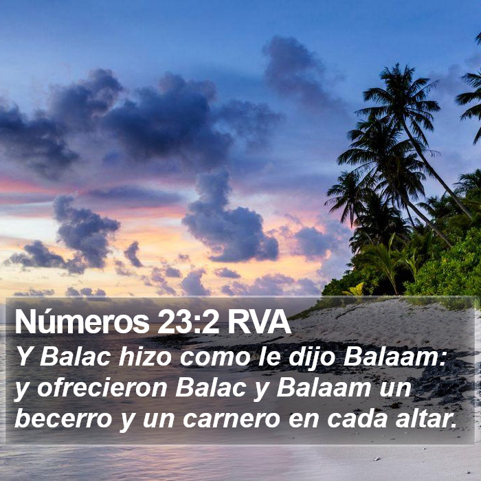 Números 23:2 RVA Bible Study