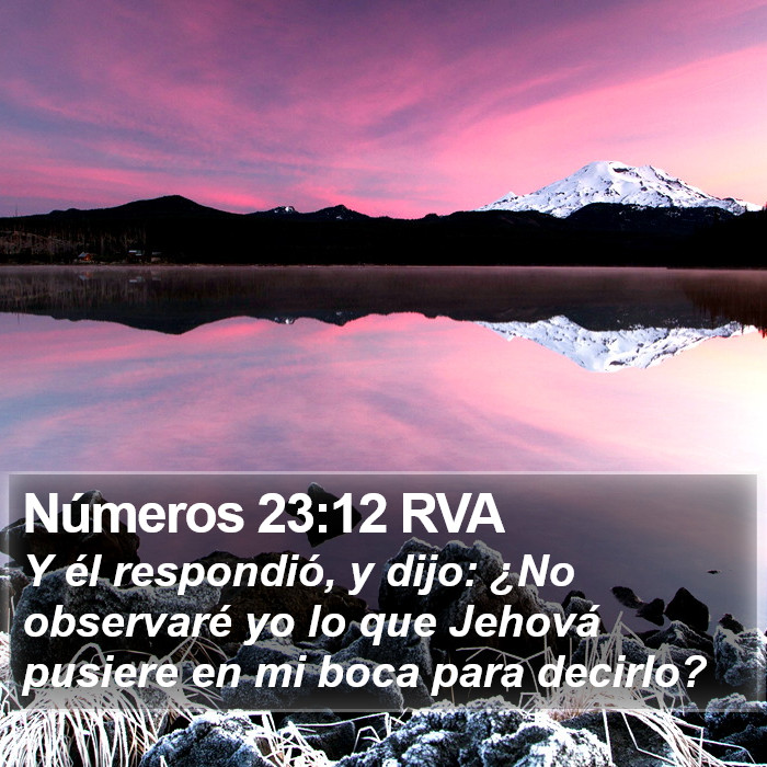 Números 23:12 RVA Bible Study