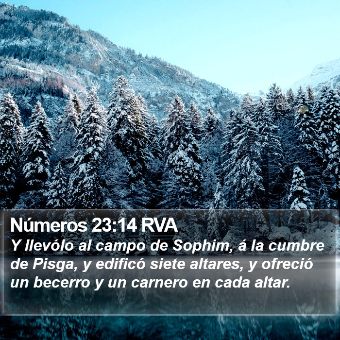 Números 23:14 RVA Bible Study