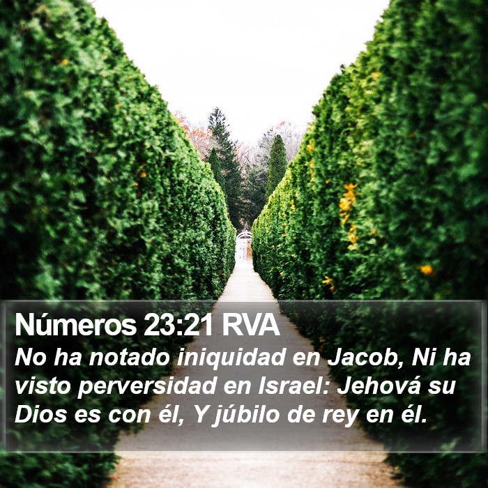 Números 23:21 RVA Bible Study